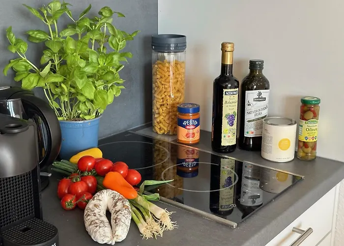 Stilvolles Und Modernes Appartement Mit Sonnigem Balkon In Flughafen- Und Messenaehe 31