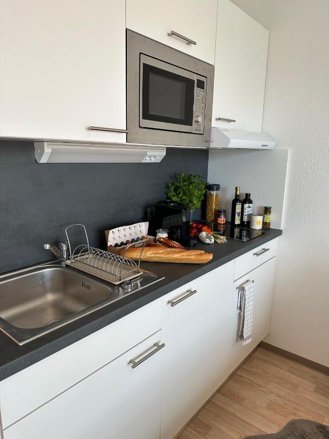 Appartement Stilvolles Und Modernes Mit Sonnigem Balkon In Flughafen- Und Messenaehe 31